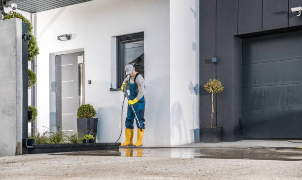 Best Roof Washing  in Wescosville, PA